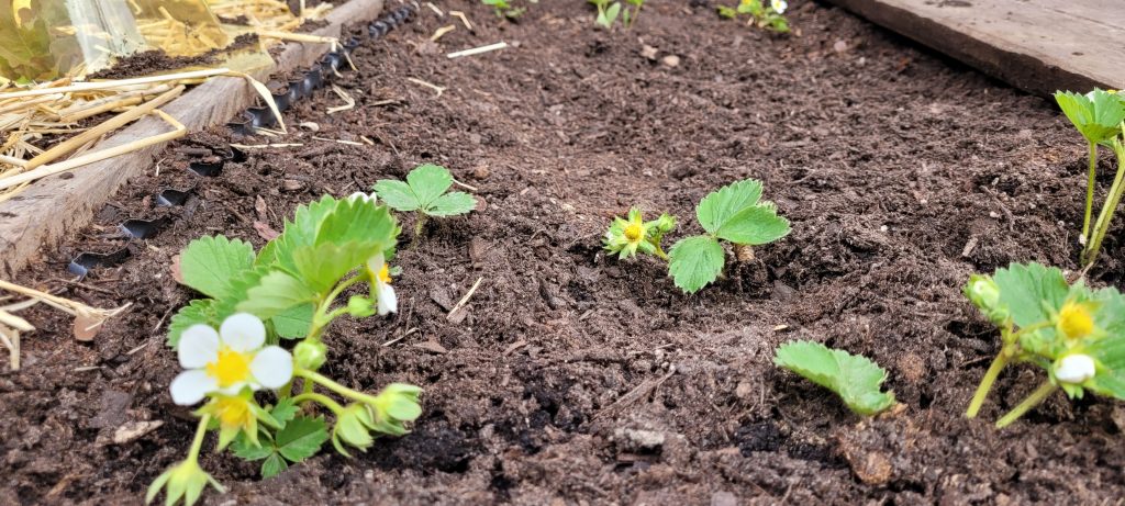 20230512 081658 Ts1688288320 1024x461